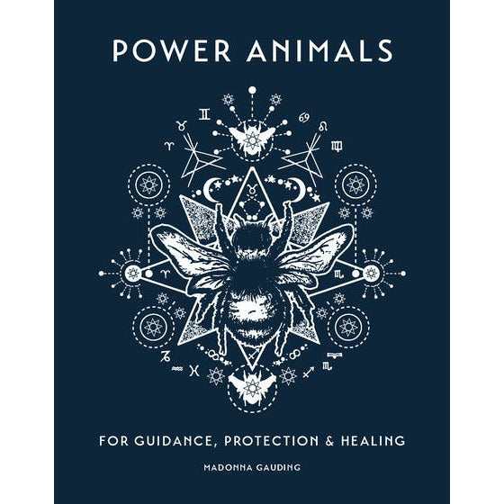 Power Animals: For Guidance, Protection and Healing