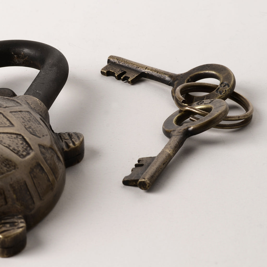 Tortoise Lock Antique Finish